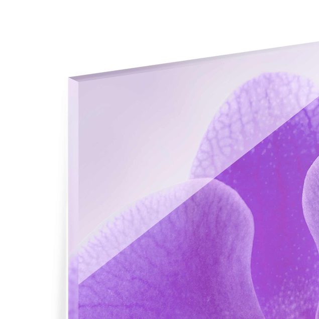 Tableaux en verre magnétique Orchidée violette sur l'eau