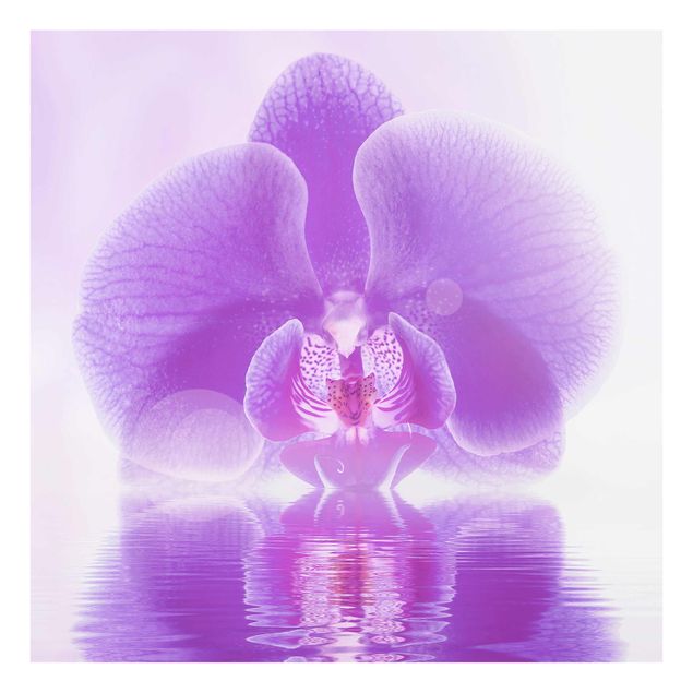 Tableaux moderne Orchidée violette sur l'eau