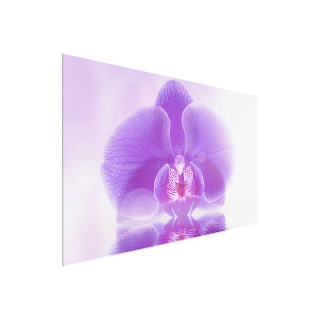 Tableaux en verre fleurs Orchidée violette sur l'eau