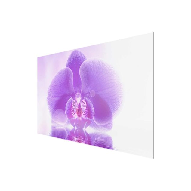 tableaux floraux Orchidée violette sur l'eau
