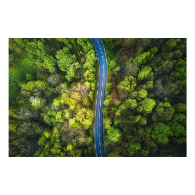 Tableau nature Vue aérienne - Route asphaltée dans la forêt