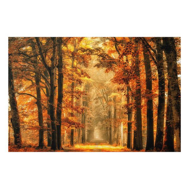 Tableaux nature Forêt enchantée en automne