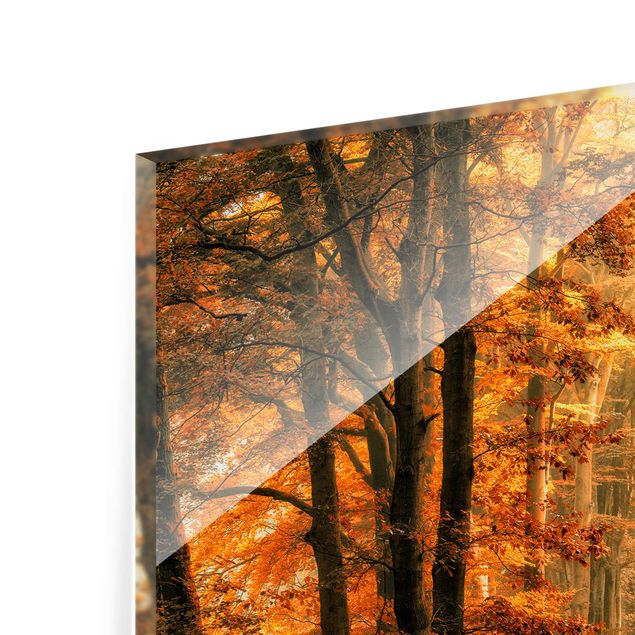 Tableaux orange Forêt enchantée en automne