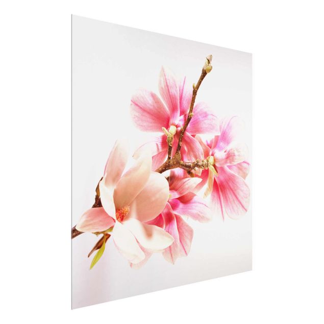 tableaux floraux Fleurs de magnolia