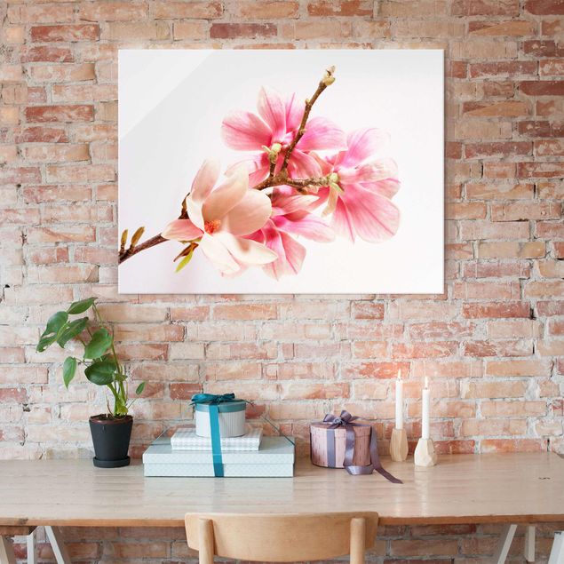 Tableaux en verre fleurs Fleurs de magnolia