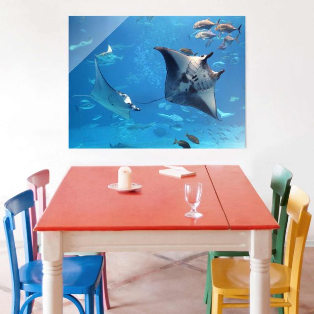 Tableaux moderne Manta Ray