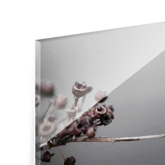 Tableaux en verre magnétique Coccinelle sur un hortensia