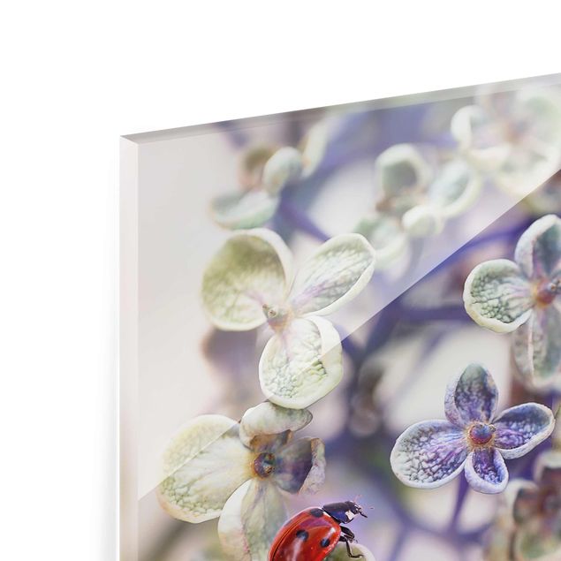 Tableau en verre - Ladybird In The Garden