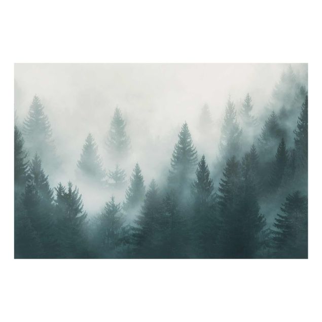 Tableau nature Forêt de conifères dans le brouillard