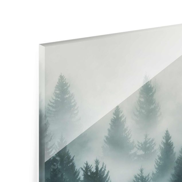 Tableau décoration Forêt de conifères dans le brouillard