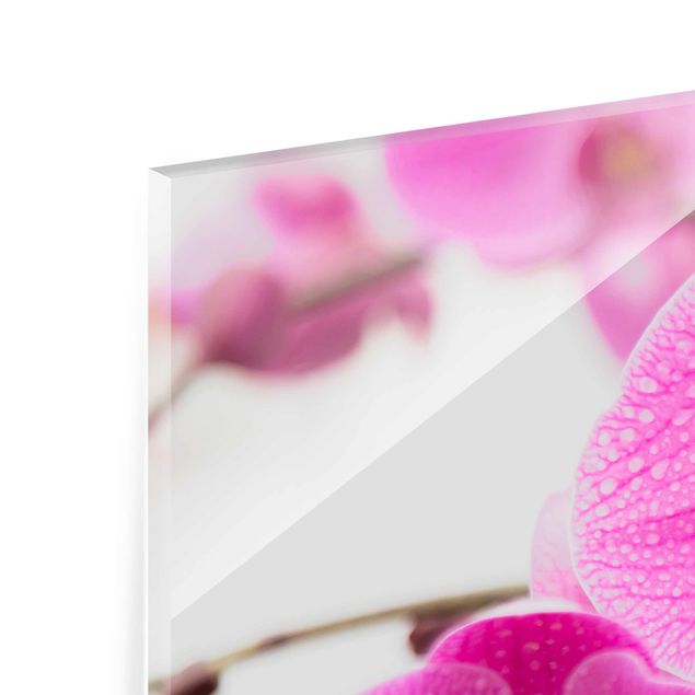 Tableaux en verre magnétique Gros plan sur une orchidée