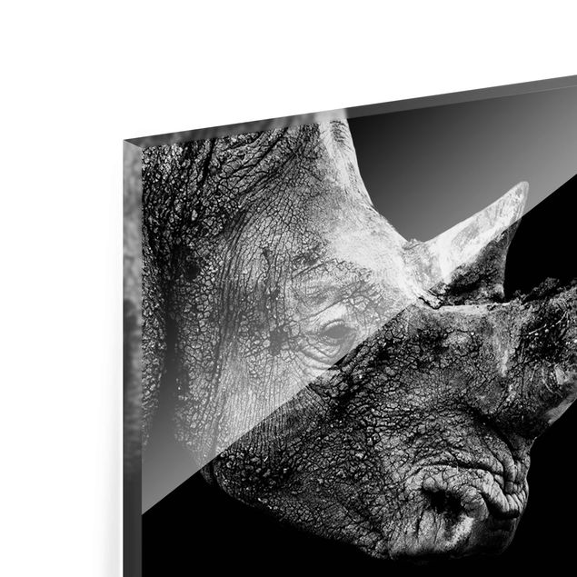 Tableau en verre - Rhino Duel