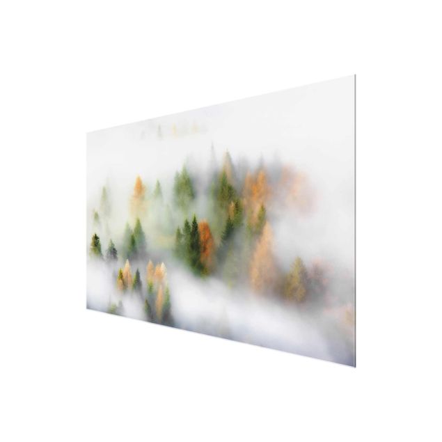 Tableau en verre paysage Forêt de nuages en automne