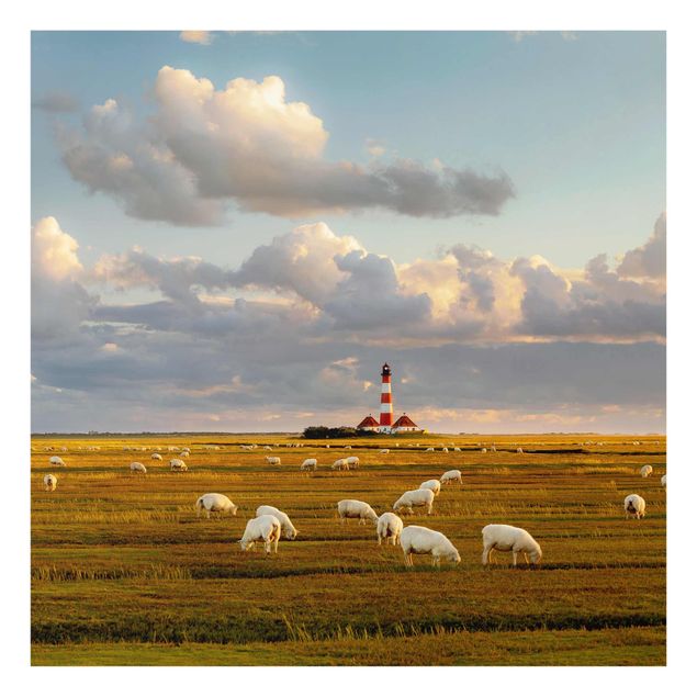 Tableau nature Phare de la mer du Nord avec un troupeau de moutons