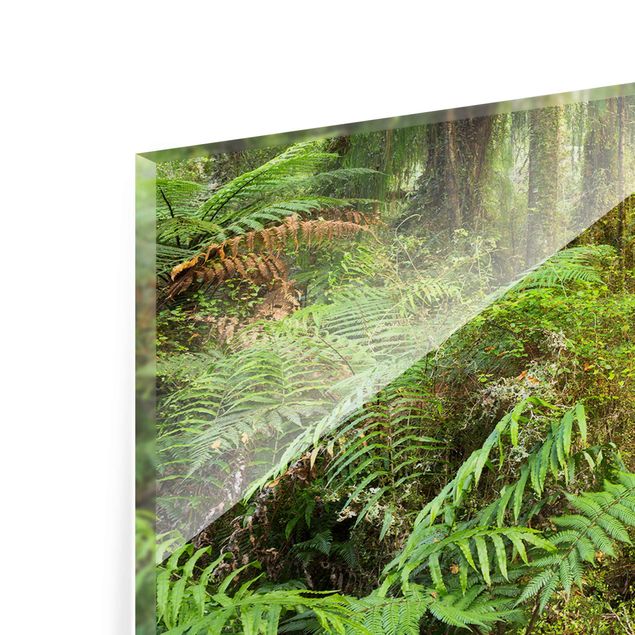 Tableaux de Rainer Mirau Chemin dans la jungle
