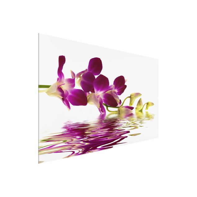 Tableaux en verre fleurs Eaux d'orchidées roses