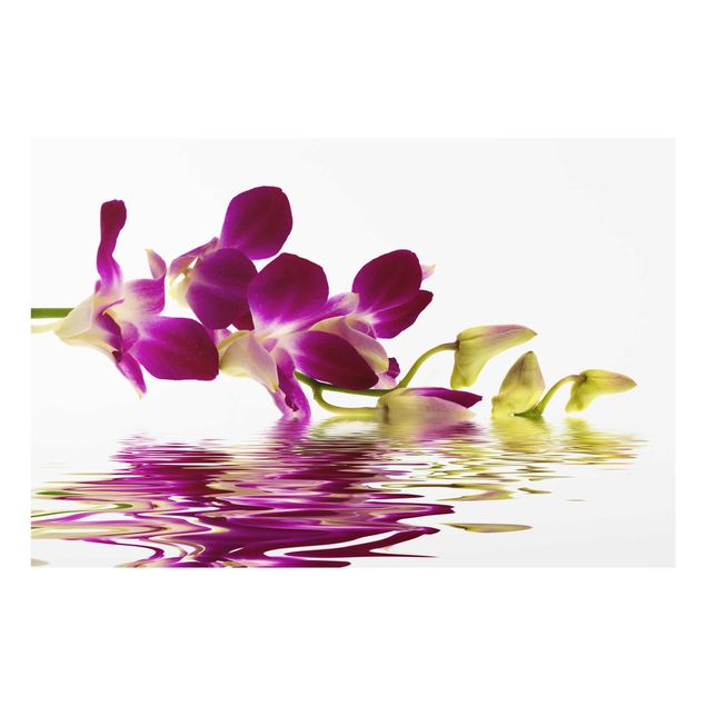 Tableaux modernes Eaux d'orchidées roses