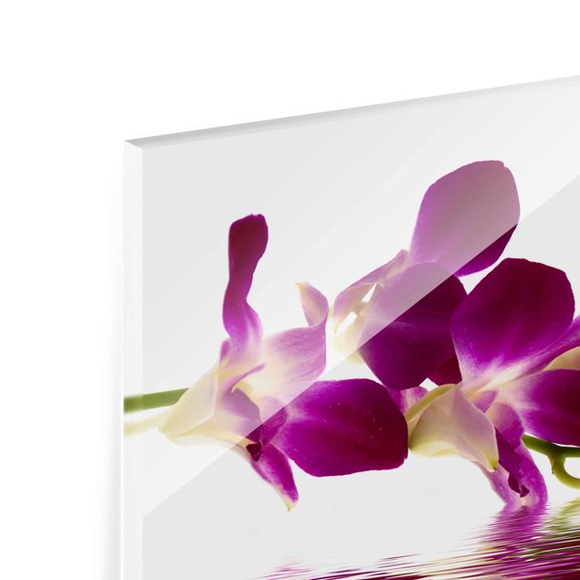 Tableaux en verre magnétique Eaux d'orchidées roses