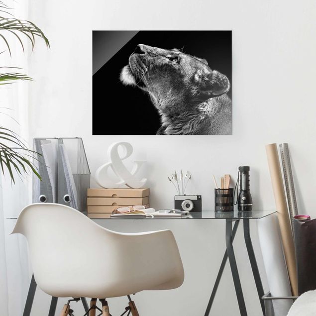 Tableaux en verre noir et blanc Portrait d'une lionne