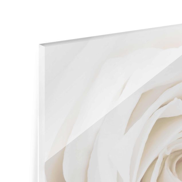Tableau en verre - Pretty White Rose