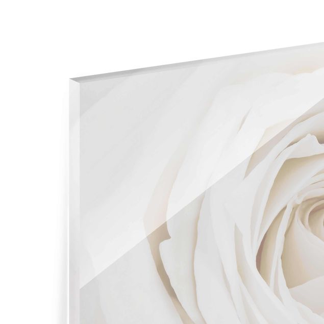 Tableau en verre - Pretty White Rose