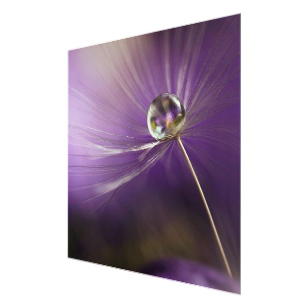 Tableau lilas Pissenlit en violet