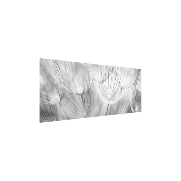 Tableaux en verre noir et blanc Dandelions macro shot in black and white