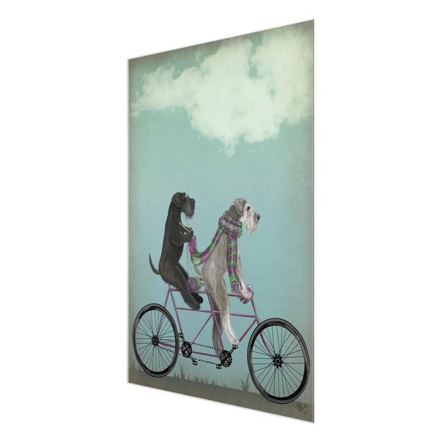 Tableau décoration Cyclisme - Tandem Schnauzer