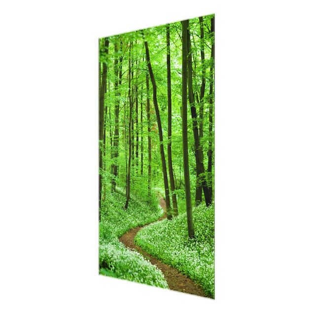 Tableau verre paysage Chemin de forêt romantique
