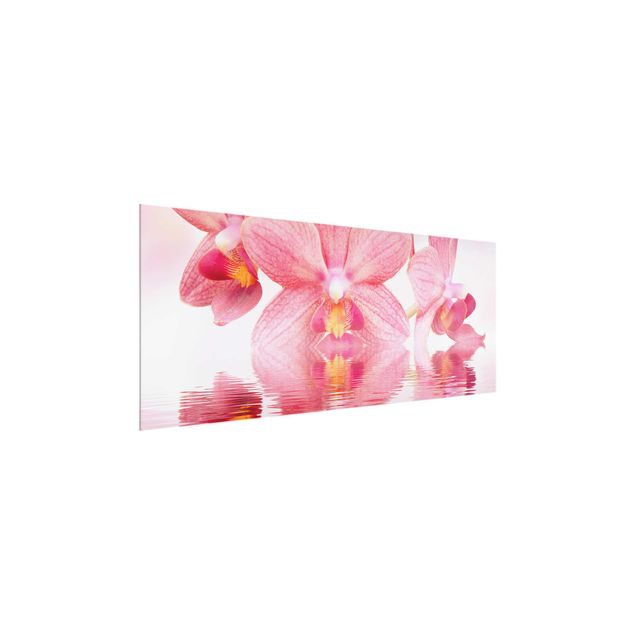 Tableaux en verre fleurs Orchidée rose clair sur l'eau