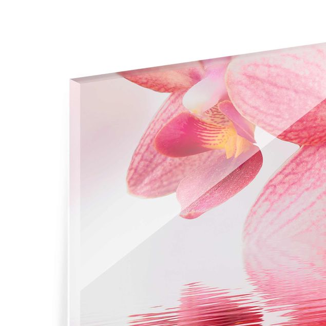 Tableaux en verre magnétique Orchidée rose clair sur l'eau