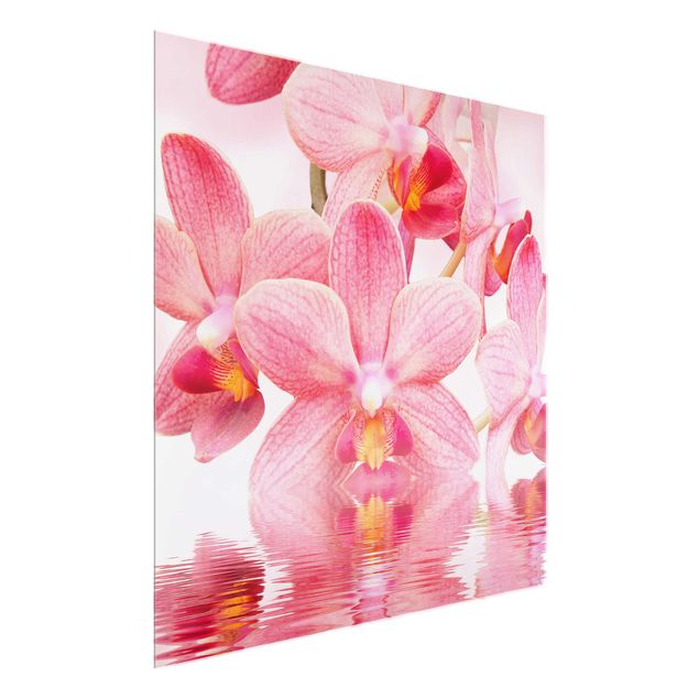 Tableaux en verre fleurs Orchidée rose clair sur l'eau