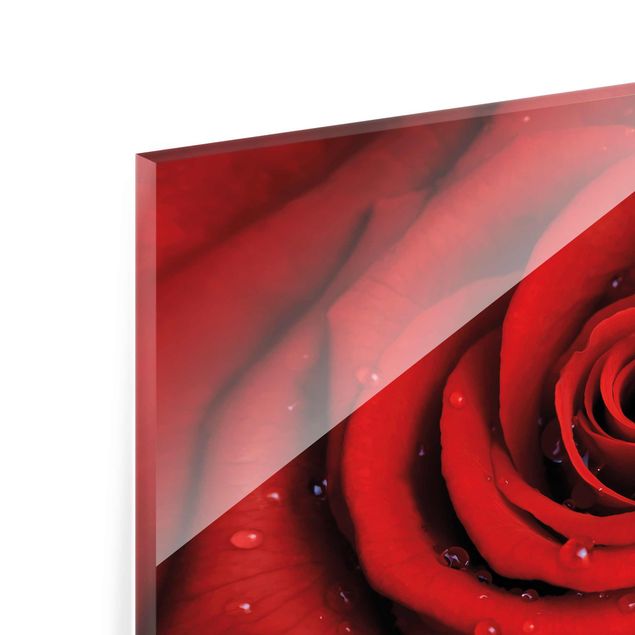 Tableaux en verre magnétique Rose rouge avec gouttes d'eau