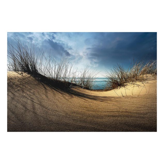 Tableaux plage Dune de sable