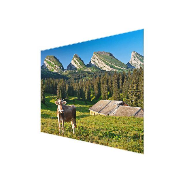 Tableau verre montagne Prairie alpine suisse avec vache