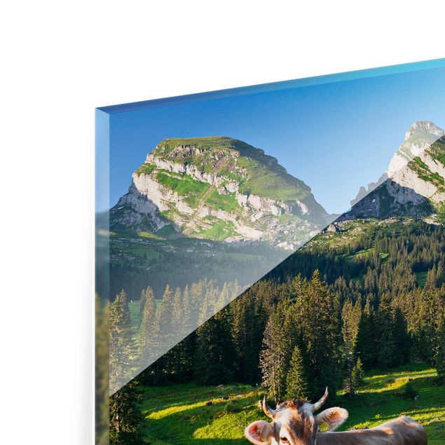 Tableaux animaux Prairie alpine suisse avec vache