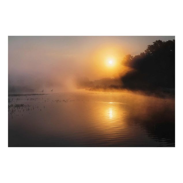 Tableau en verre paysage Lever de soleil sur le lac avec des cerfs dans le brouillard