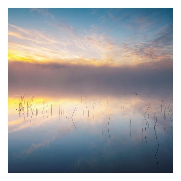 Tableau deco nature Lever de soleil sur un lac suédois
