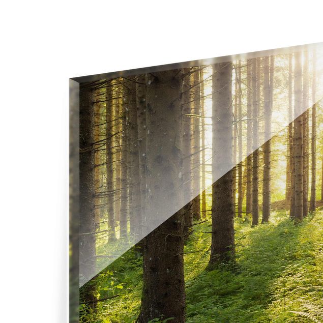 Tableaux de Rainer Mirau Rayons de soleil dans une forêt verte