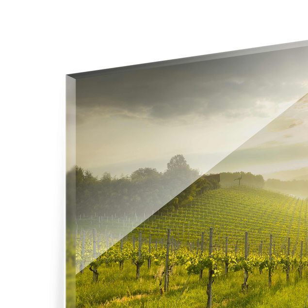 Tableau en verre paysage Vignoble de rayons de soleil