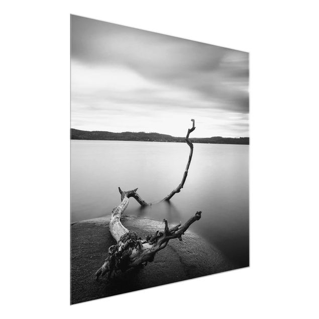 Tableaux en verre noir et blanc Coucher de soleil en noir et blanc au bord du lac