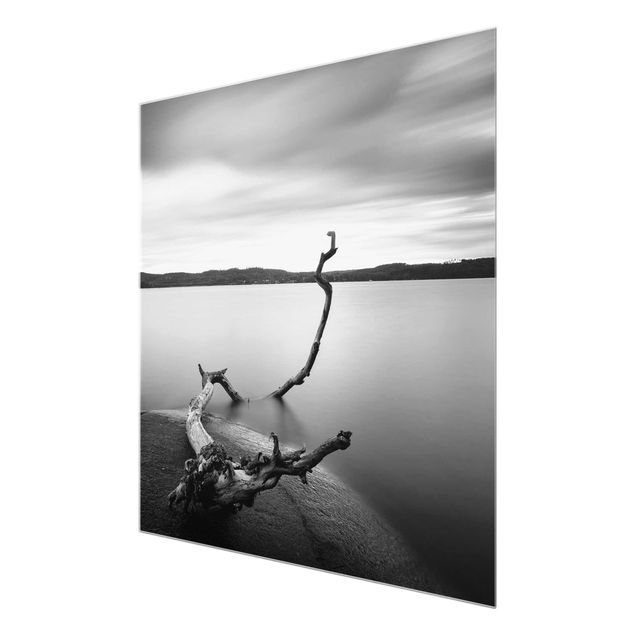 Tableaux nature Coucher de soleil en noir et blanc au bord du lac