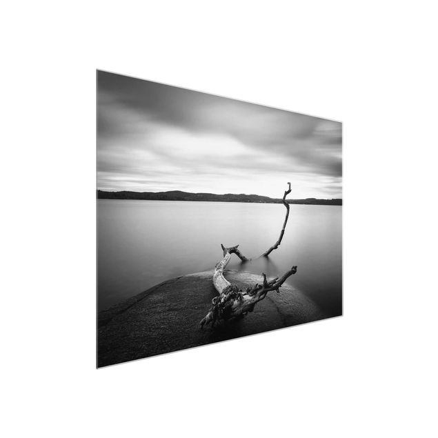 Tableaux en verre noir et blanc Coucher de soleil en noir et blanc au bord du lac