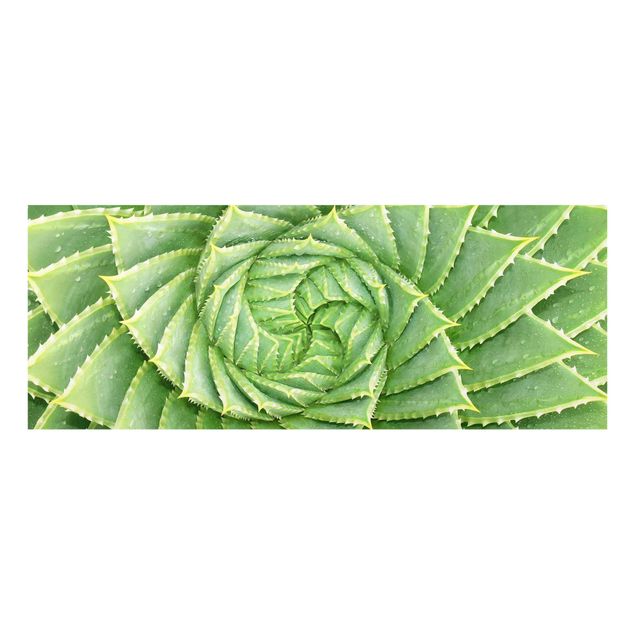 Tableau couleur vert Aloès en spirale