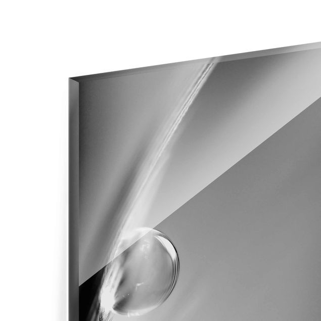 Tableaux en verre magnétique Histoire d'une goutte d'eau Noir Blanc