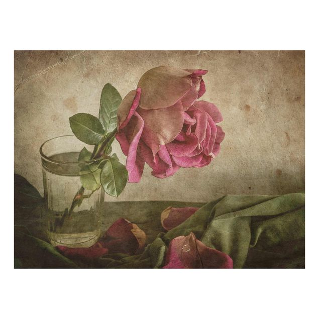 Tableaux fleurs Larme d'une rose
