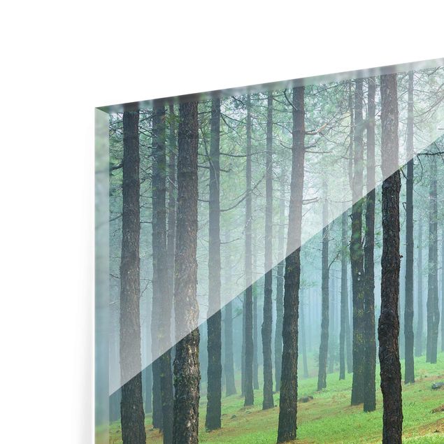 Tableaux de Rainer Mirau Forêt profonde avec des pins sur La Palma