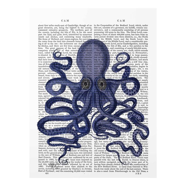 Tableau deco bleu Lecture des animaux - Octopus