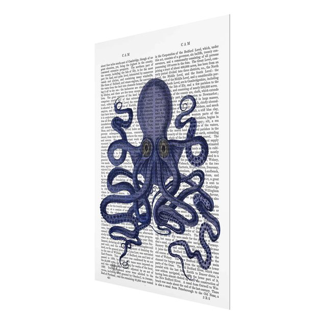 Tableaux muraux Lecture des animaux - Octopus