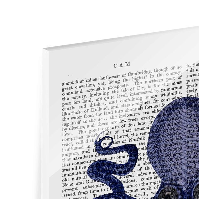 Tableaux en verre magnétique Lecture des animaux - Octopus